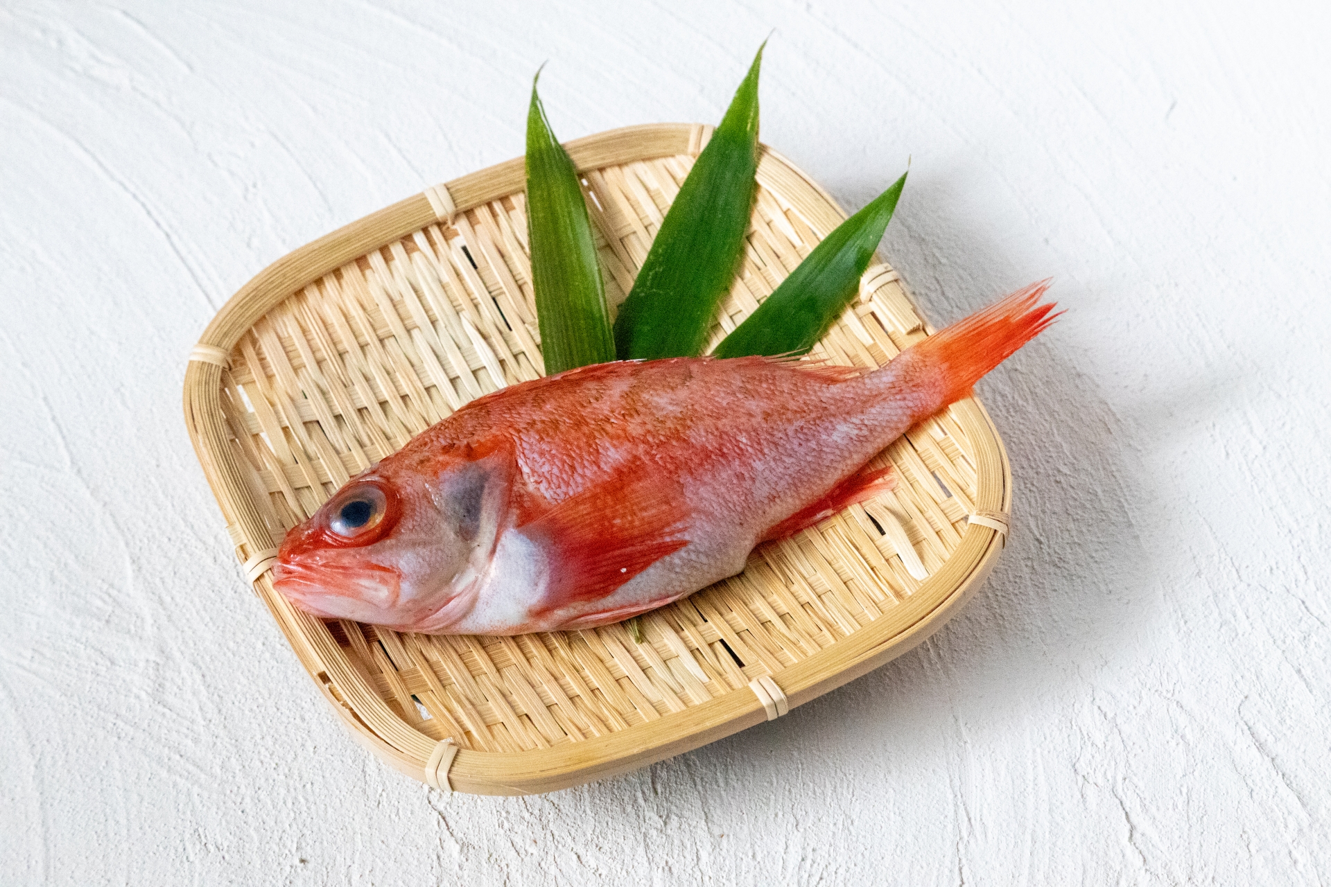 Discover the Unique Delicacy of Kinki