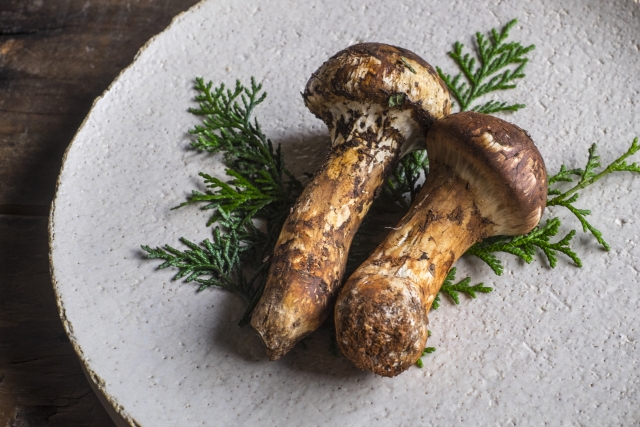 Fragrance of the Forest: Matsutake and Mushrooms